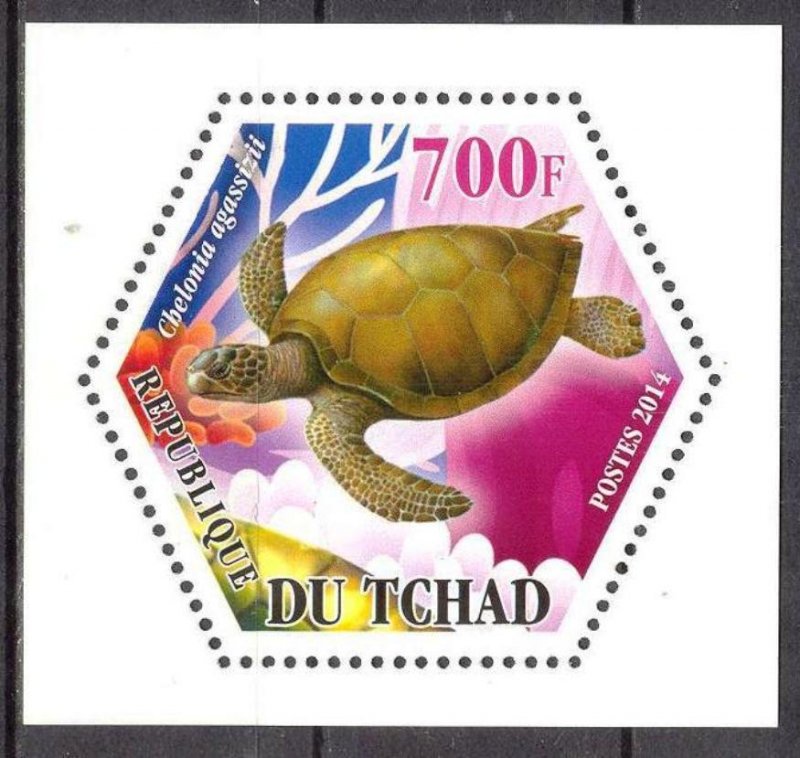 Chad 2014 Turtles (3) MNH Cinderella !