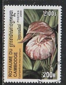 2000 Cambodia - Sc 1983 - used VF -  1 single - Orchids