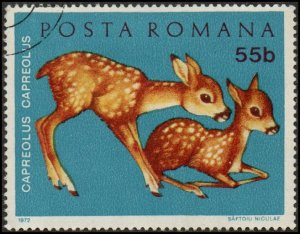 Romania 2317 - Cto - 55b Roe Fawns (1972)