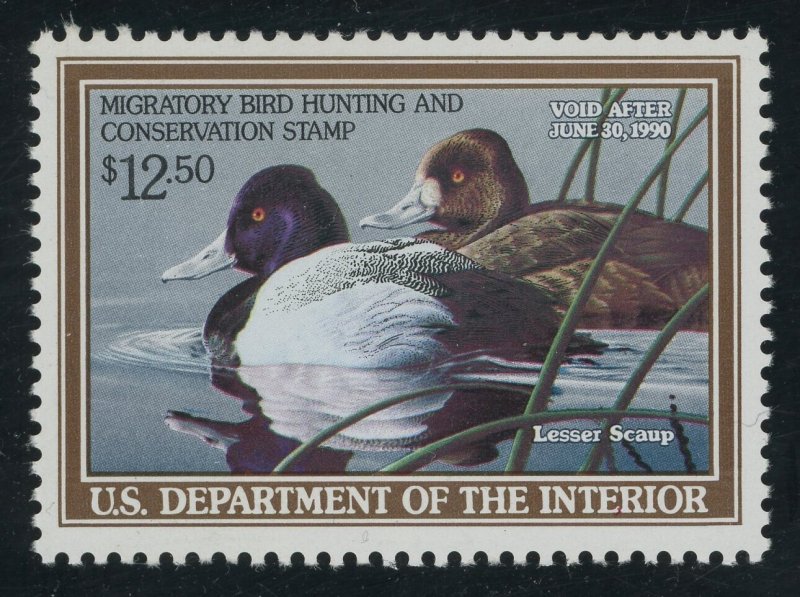 USA RW56 - 1989 Federal Duck Stamp - VF/XF Mint - nh