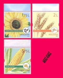 MOLDOVA 2019 Nature Flora Plants Flowers Fruits Sunflower Wheat Maize Corn 3v MN