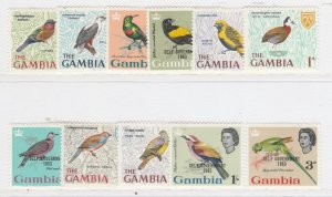 Gambia Birds MNH** Stamps A34P1F41771-