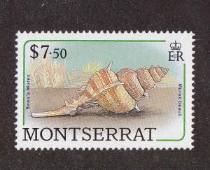 Montserrat # 695, Seashells, Mint, NH, 1/2 Cat.