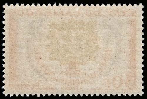 Cameroun - Scott 338 - Mint-Never-Hinged