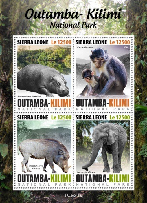 SIERRA LEONE - 2020 - Outamba-Kilimi Nat.Park.-Perf 4v Sheet-Mint Never Hinged