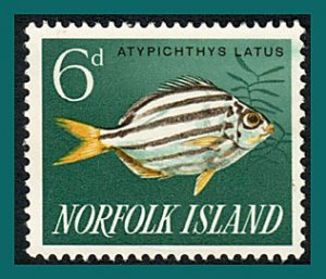 Norfolk Island 1962 Fish, 6d used  #50,SG43