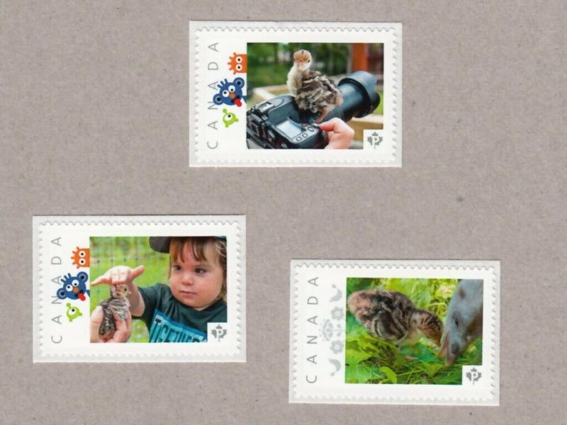 TURKEY CHICK = Set 3 UNIQUE Picture Postage stamps MNH Canada 2016 [p16/08btu3]