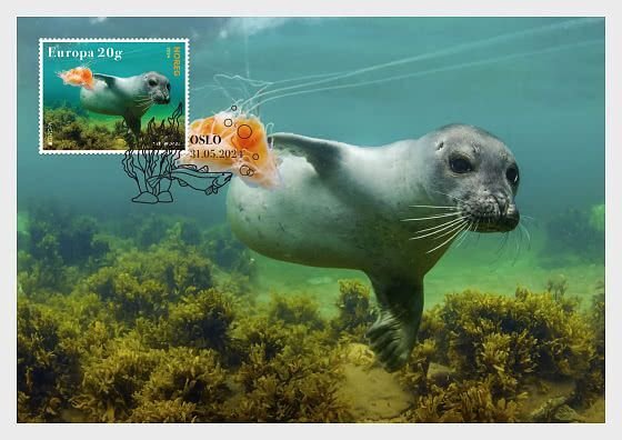 Norway 2024 Europa CEPT Underwater fauna and flora stamp Maxicard