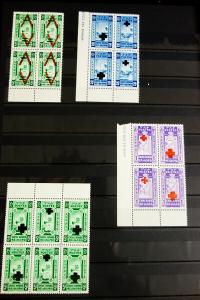 Ethiopia Mint Error and Variety Stamp Collection in Stock Book