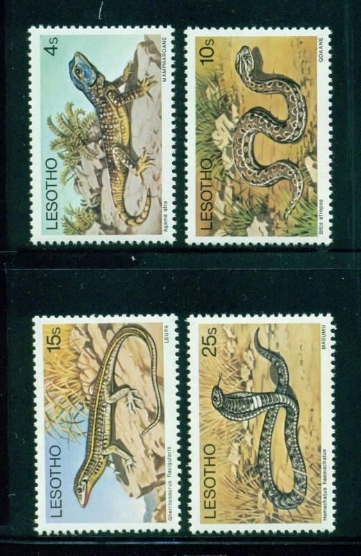 Lesotho Scott #270-273 MNH Reptiles Fauna Snakes Lizards WMK $$