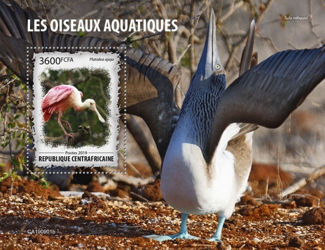 CENTRAL AFRICAN REP. (CENTRAFRIQUE) / 2019 Water birds.Block.Imperf.