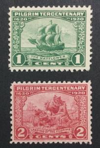 MOMEN: US #548-549 MINT OG NH #24328