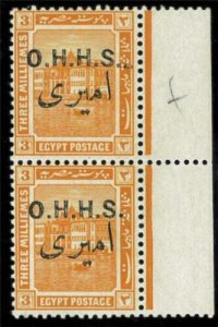 BK1500 - EGYPT - OVERPRINT ERROR Variety on O.H.H.S. Yvert # TS11 Pair   MNH