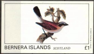 {B053} Bernera Scotland Birds (8) S/S 1£ MNH Cinderella !!