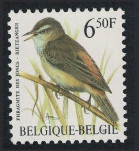 Belgium Sedge-warbler Bird Buzin 'Phragmite des Jones' 6f.50 1994 MNH