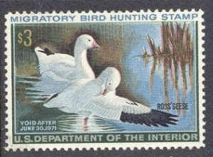 US Stamp #RW37 MNH SUPER Pair of Ross' Geese on a Pond Single