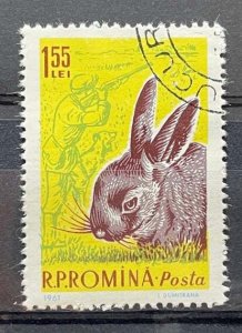 (3564) ROMANIA 1961 : Sc# 1432 RABBIT HUNTER WITH DOG - VFU