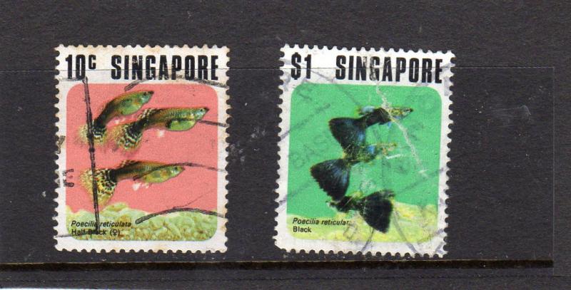 Singapore  Fish used