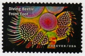 SC# 5802i - (68c) - Life Magnified, Beetle Front Foot - 9 of 20 - Used Off Paper