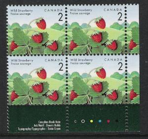 Canada PL BL Wild Strawberry 2
