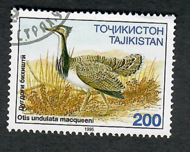 Tajikistan #87 Birds used single
