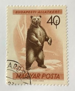 Hungary 1961 Scott 1348 used - 40f,  Budapest  Zoo,  Brown Bear