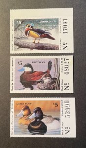 *Three unused Nevada State Duck Stamps, 1995, 1997, and 2001