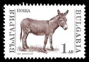 USED BOX WORLD WIDE 140