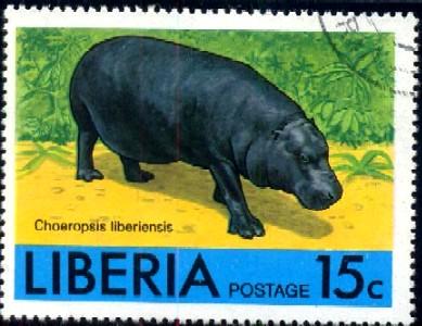 Hippo, African Animal, Liberia stamp SC#766 used