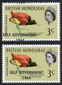 British Honduras SG218 3c with Self Government 1964 Overprint MISPLACED U/M