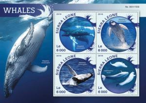 SIERRA LEONE 2016 SHEET WHALES MARINE LIFE srl16114a