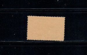 US Stamp SC# E13   MNH. OG 1917-25