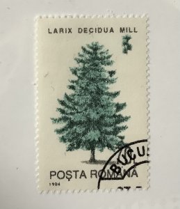 Romania 1994 Scott  3917 used - 70 l, trees,  Larix Decidua Mill