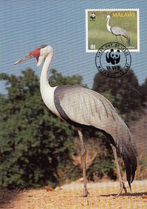 Malawi 1987 Maxicard Sc #494 8t Wattled crane WWF