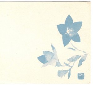 JAPAN Postal Stationery Card Omiya Fancy Cancel FLOWERS Illustrated 1963 KA995