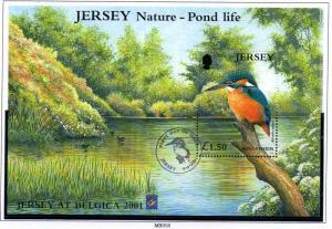 Jersey  Sc 995a 2001 Kingfisher Belgica stamp sheet used