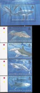 Ascension - 2008 Sharks - 4 Stamp Set + S/S - 1K-017 #936-40