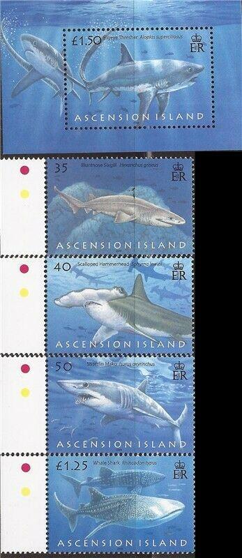 Ascension - 2008 Sharks - 4 Stamp Set + S/S - 1K-017 #936-40