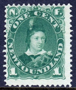 Newfoundland - Scott #45 - MNG - Pencil on reverse - SCV $20.00