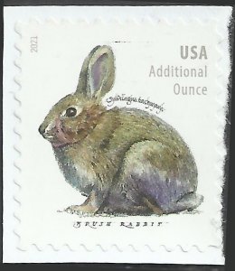 # 5544 Used Brush Rabbit
