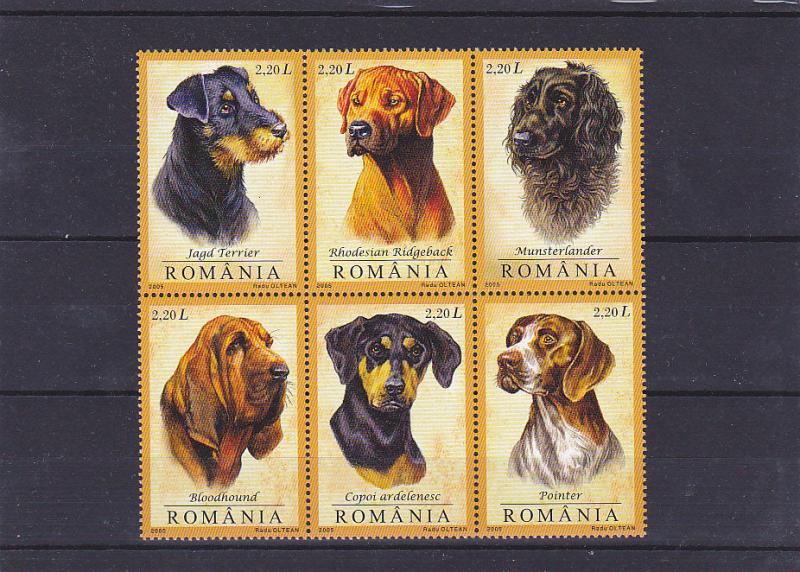 what dog breeds are sold in romania