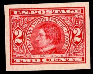 US Stamp #371 2c Carmine Steward IMPERF MINT Hinged SCV $14.00