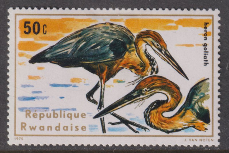 Rwanda 654 Goliath Herons 1975