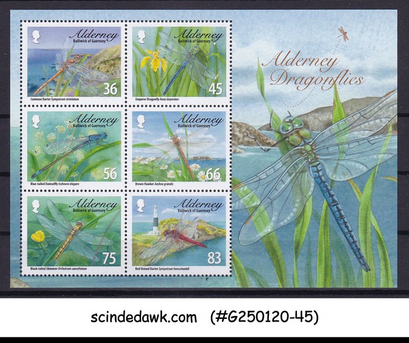 ALDERNEY BAILIWICK OF GUERNSEY - 2010 DRAGONFLY / INSECTS MIN/SHT MNH