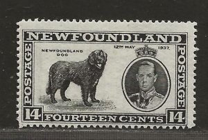 NEWFOUNDLAND  SC# 238   F/MLH