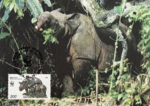 Indonesia 1996 Maxicard Sc #1673b 300r Javan rhinoceros WWF