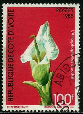 Ivory Coast #769A Used Stamp - Flowers (a)