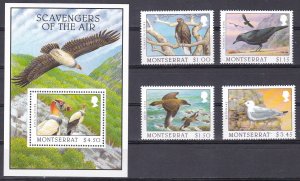 Montserrat, Fauna, Birds MNH / 1997