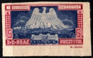 1940's Poland Poster Stamp 5 Zloty Post-War Postal Charity Label Unused