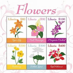 Liberia 2019 - Flowers - Sheet of 6 stamps - Scott #3339 - MNH